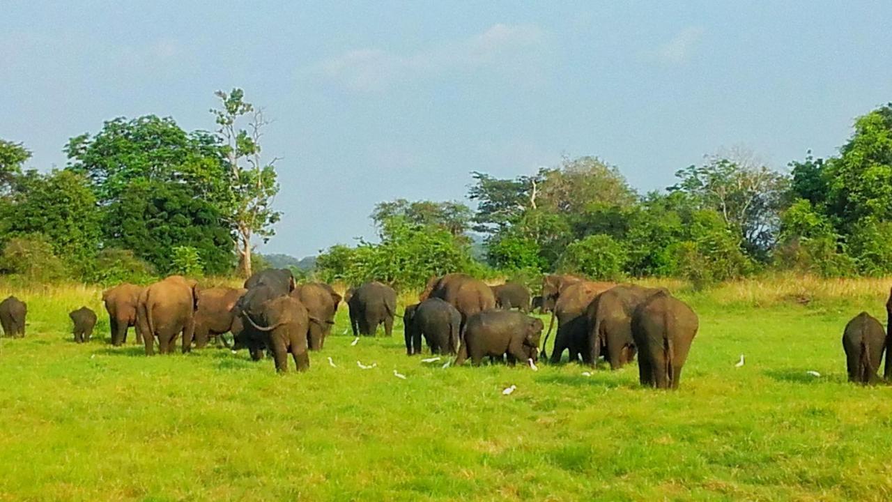 Kashyapa Kingdom View Home Sigiriya Luaran gambar